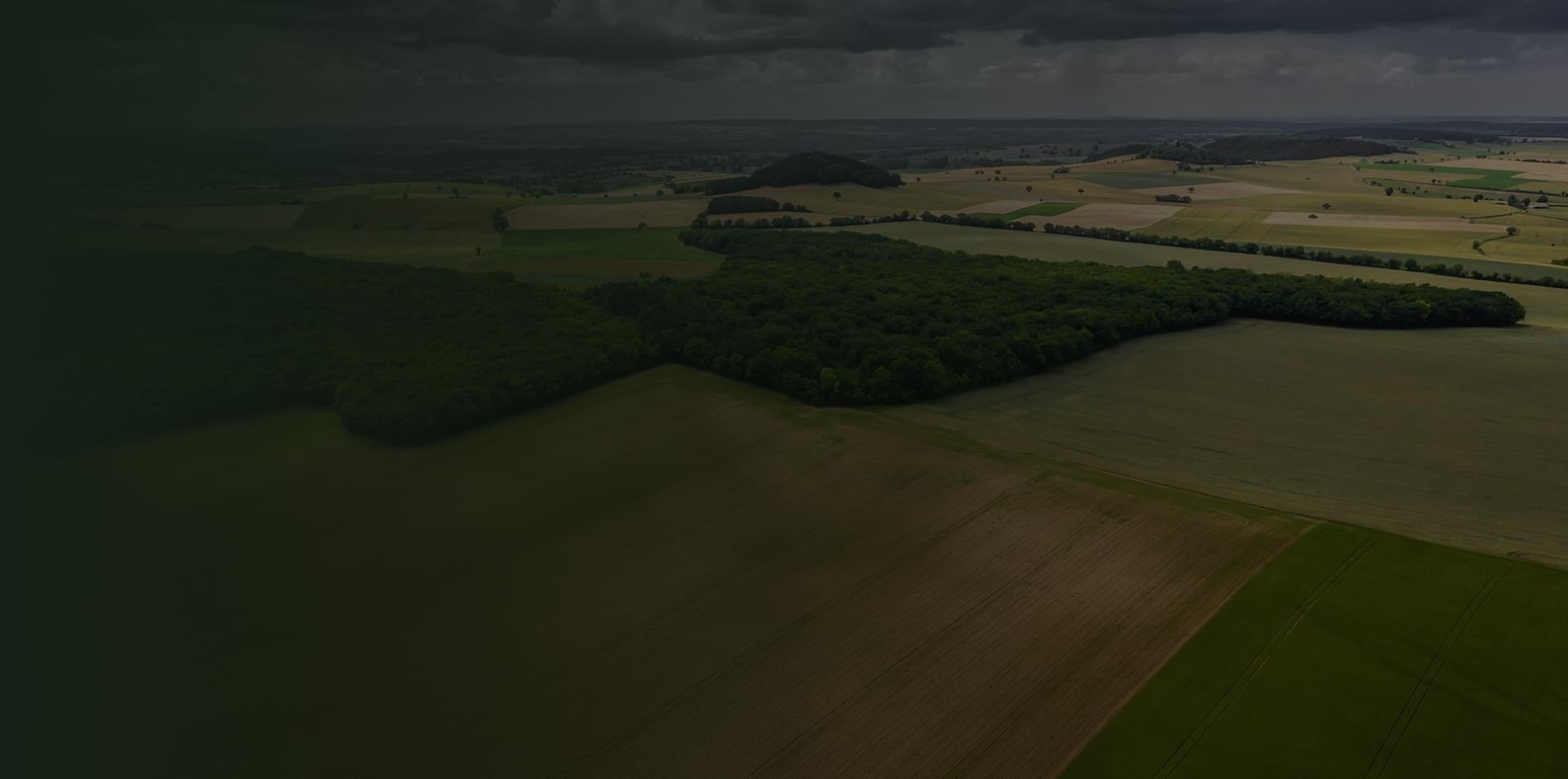 Поля для обробки агродроном