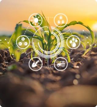 Внесення засобів захисту рослин агродроном