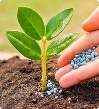 Внесення добрив агродроном